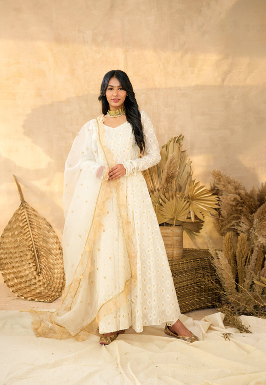 Afsana Bloom Faux Blooming Embroidered Anarkali Gown