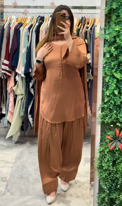 Timeless Grace: Plain Farshi Salwar Sets in Luxe Shades